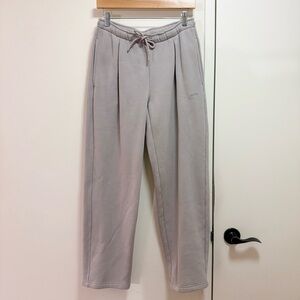 Aritzia Cozy Fleece Mega Pleated Sweatpant